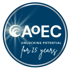 Academy of Executive Coaching (AoEC)